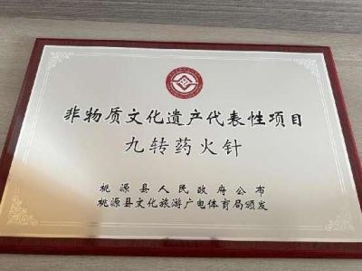 医学行业楷模人物著名针灸大师、神针王  ——杨 河（杨罗河道长，天医大法师）